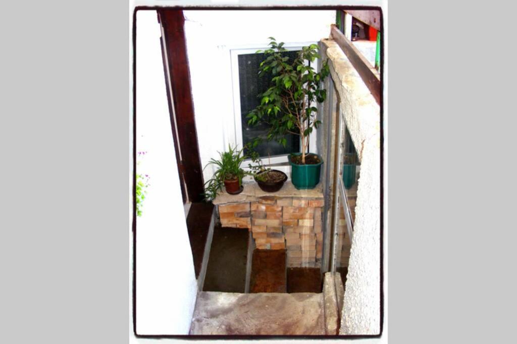 Authentic Guest Stay In The Heart Of Veliko Tarnovo Студио С Изглед Към Царевец Eksteriør billede